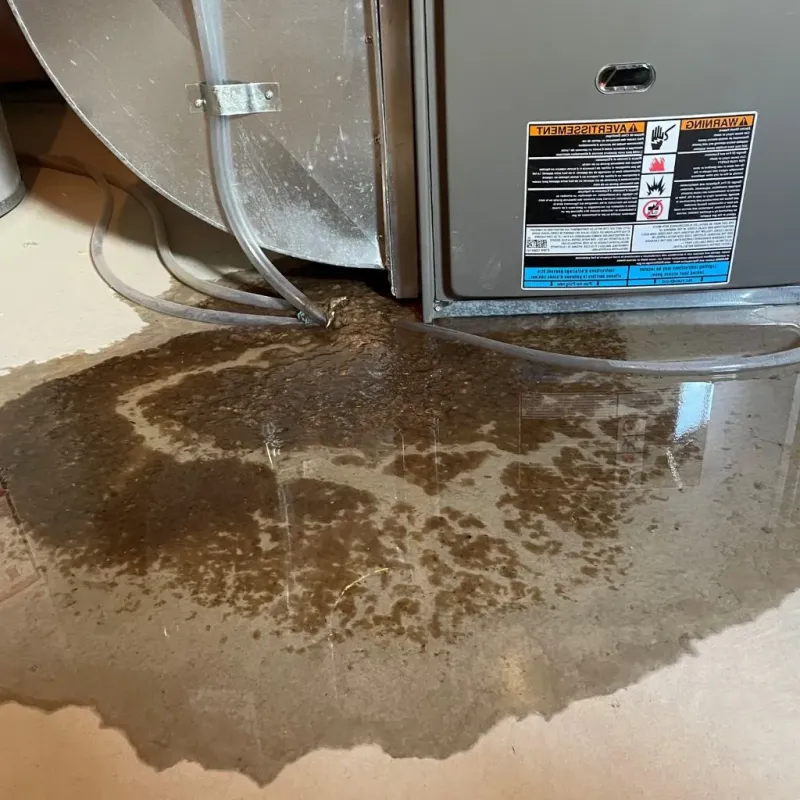 Pipe Burst and Leak Restoration in West Valley City, UT