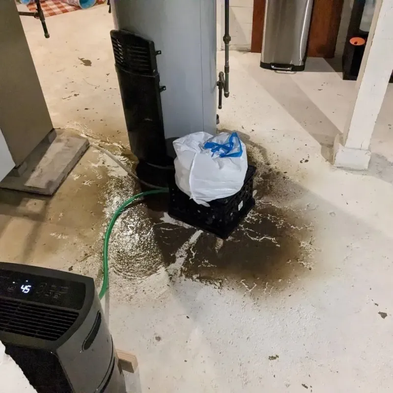 Sewage Backup Cleanup Service in West Valley City, UT